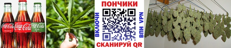 купить наркотики цена  блэк спрут ONION  Еда ТГК марихуана  Алзамай 