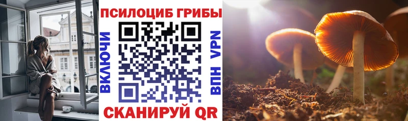 Галлюциногенные грибы MAGIC MUSHROOMS где купить наркоту Алзамай